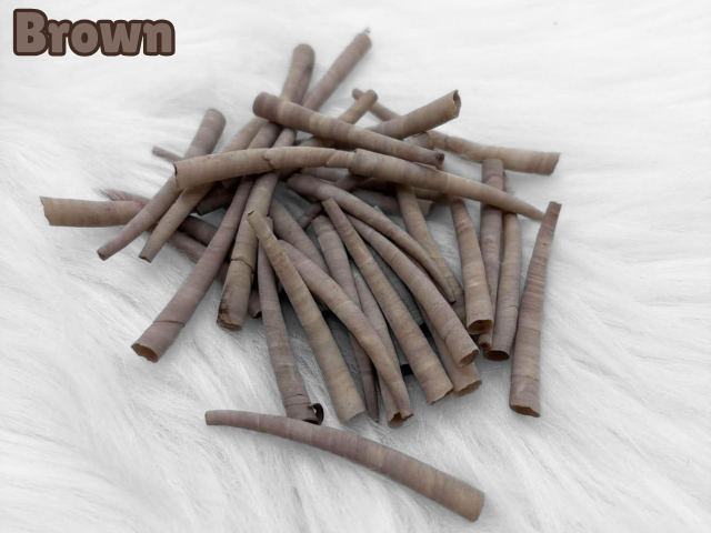 Pile of brown dyed smooth dentalium shells, about 1.5 to 2 inches long, on white faux fur