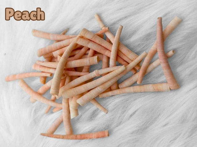 Pile of peach dyed smooth dentalium shells, about 1.5 to 2 inches long, on white faux fur