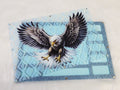 XLarge 8 x 11.5 inch magnetic-lid bead board with an eagle over a light blue pattern, lid beside its light blue tray