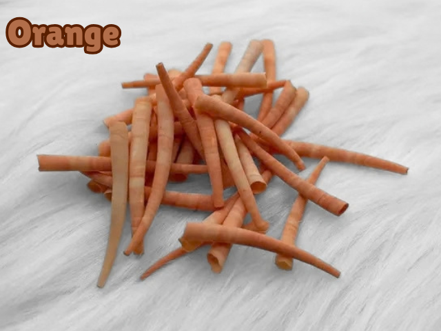 Dyed Smooth Dentalium Shells - Orange – The Busy Beaver
