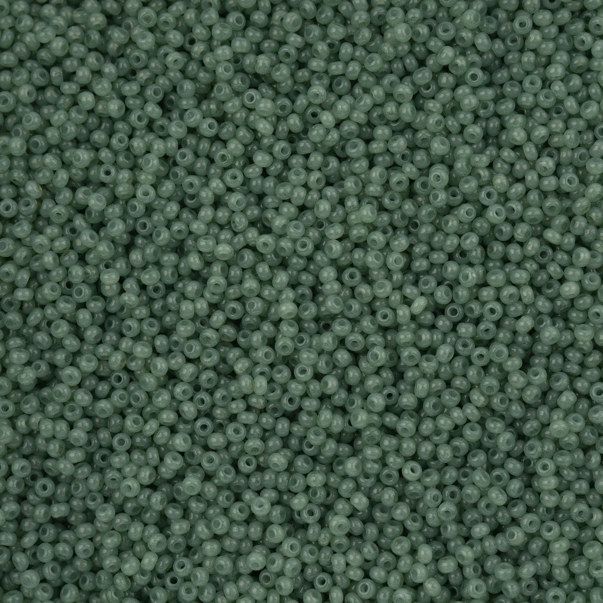 Close-up of Preciosa 11/0 Czech glass seed beads in alabaster eucalyptus solgel