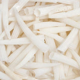 Dentalium Shell Mix 0.5in to 1in Natural