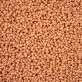 Close-up of Preciosa 11/0 Czech glass seed beads in opaque light brown chalk solgel