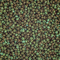Close-up of Preciosa 11/0 Czech glass seed beads in opaque travertine on turquoise