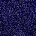 Close-up of Preciosa 11/0 Czech glass seed beads in silver-lined sapphire
