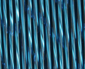 Rows of twisted 30mm Preciosa Czech glass bugle beads in silver-lined montana