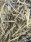 Close-up of natural porcupine quills, cream with dark brown tips
